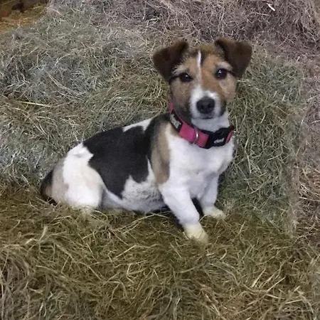 Bondcroft Farm Nocleg ze śniadaniem