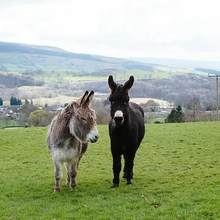Bondcroft Farm Embsay