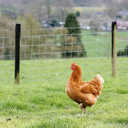 Bondcroft Farm Embsay