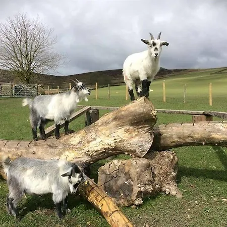 Bondcroft Farm לינה וארוחת בוקר